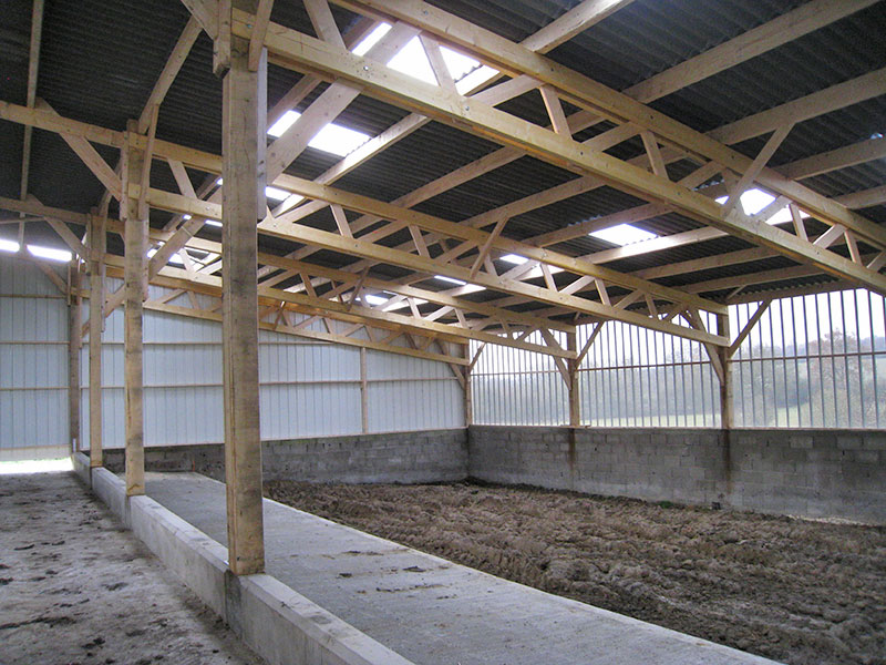 découvrez notre hangar en bois spacieux de 300m², idéal pour répondre à tous vos besoins de stockage ou d'aménagement. résistant et esthétique, ce hangar est conçu pour s'intégrer parfaitement dans votre environnement. explorez les possibilités qu'il offre pour votre projet.