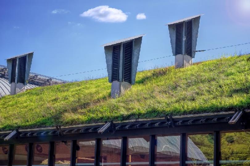 découvrez tout ce qu'il faut savoir sur la réglementation icpe 1436, qui encadre les installations classées pour la protection de l'environnement. informez-vous sur les exigences, les démarches à suivre et les enjeux environnementaux liés à cette classification.