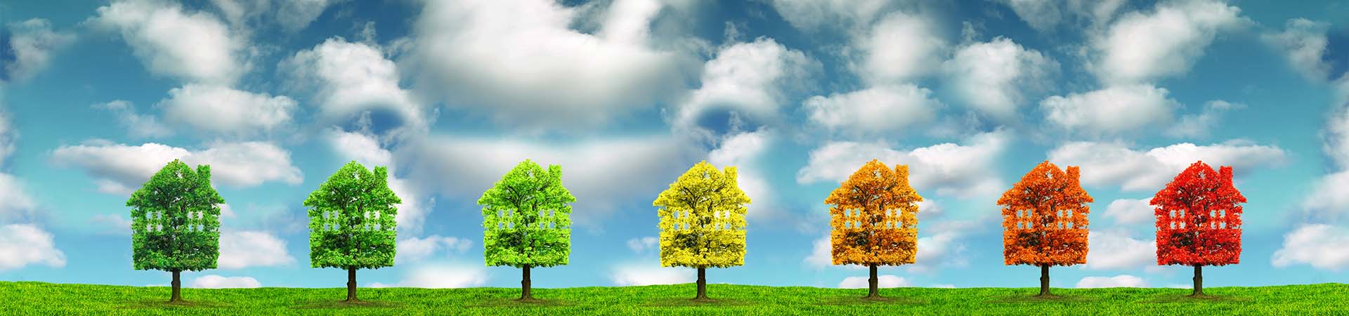 découvrez l'impact environnemental de nos actions quotidiennes et comment elles affectent notre planète. explorez des solutions durables et des initiatives pour réduire notre empreinte écologique et préserver notre environnement pour les générations futures.