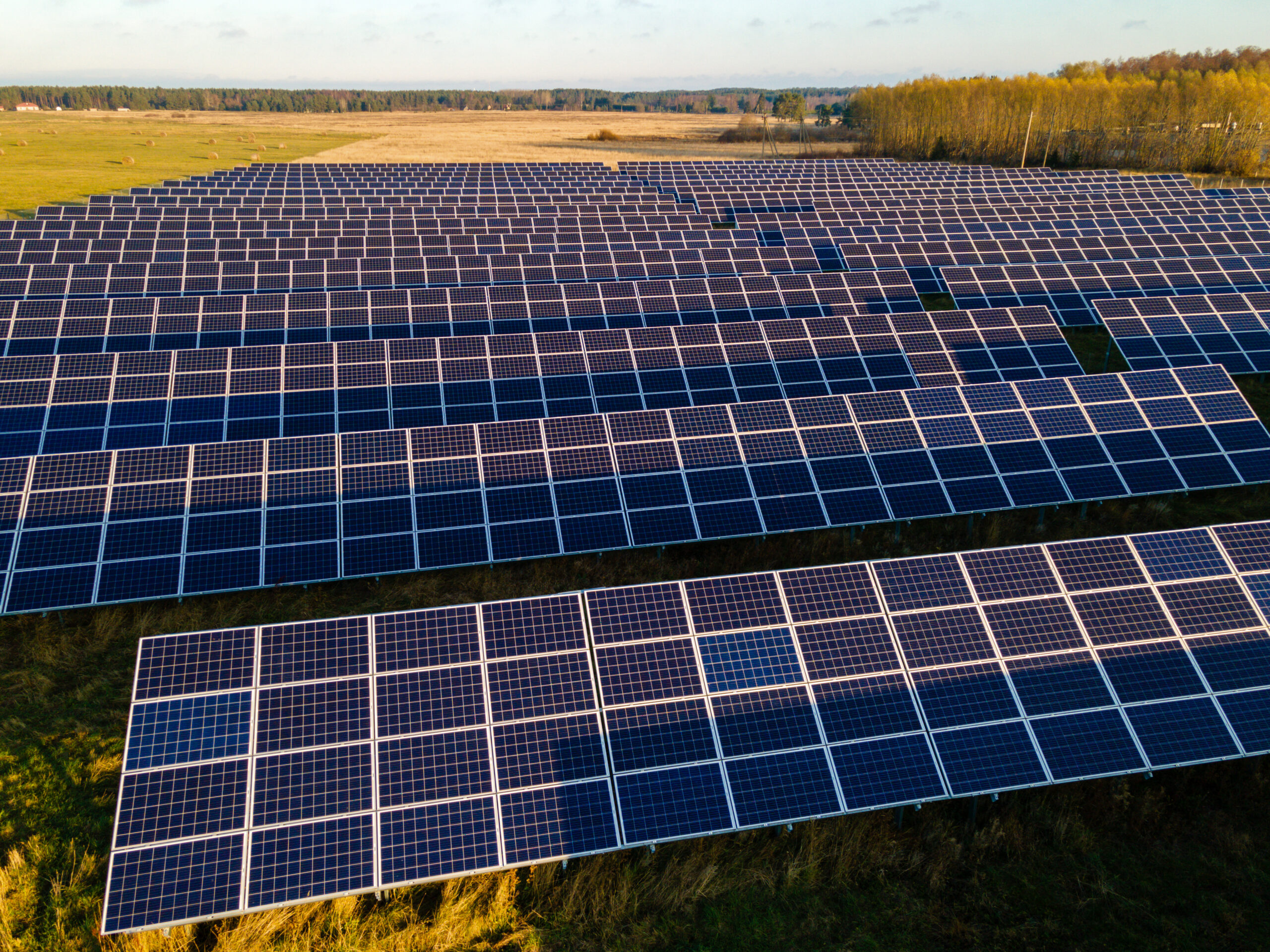 découvrez l'impact des panneaux solaires sur l'environnement et l'économie. explorez comment cette source d'énergie renouvelable contribue à réduire les émissions de co2, favoriser l'indépendance énergétique et générer des économies sur vos factures d'électricité.