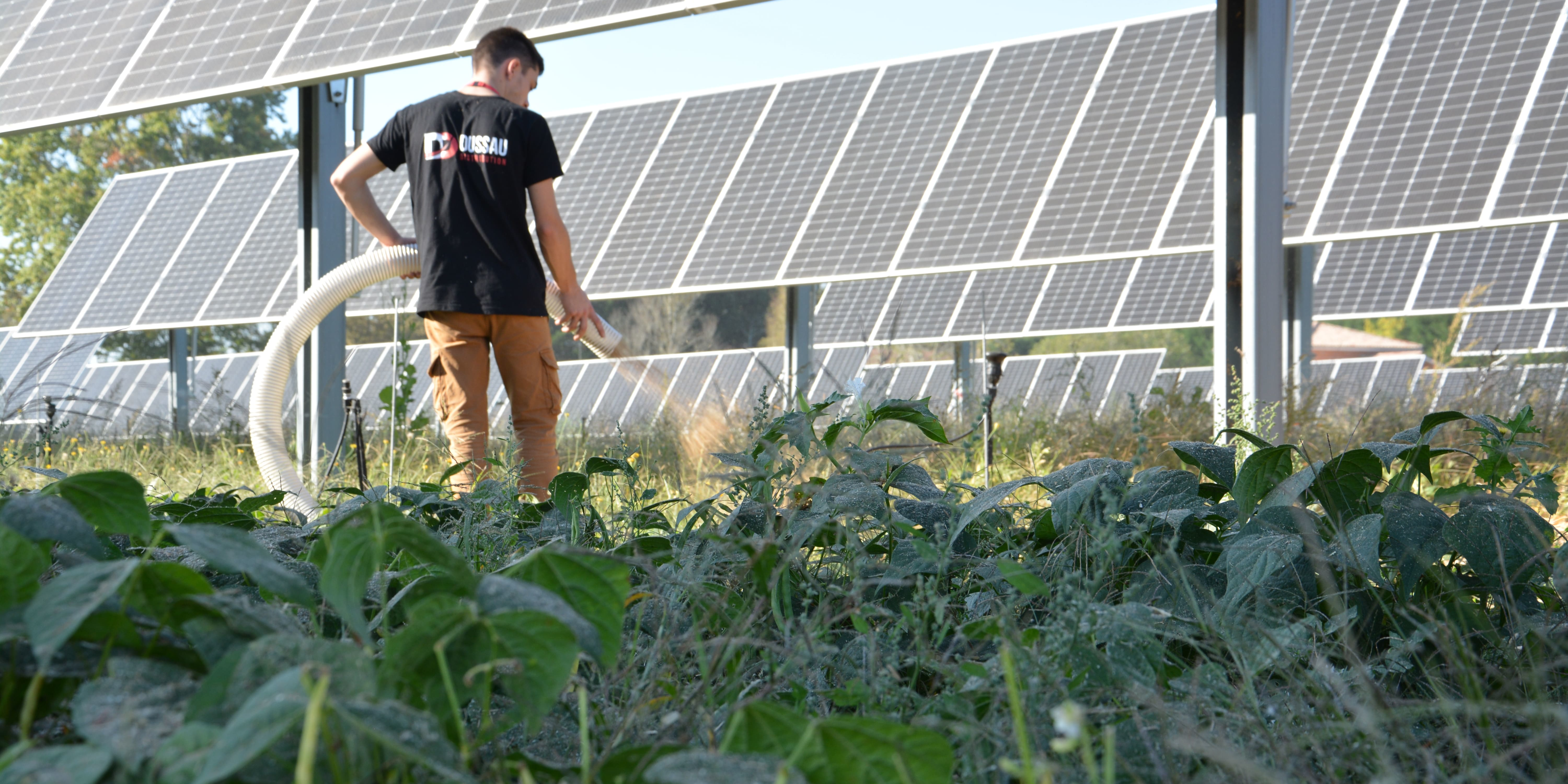 découvrez comment l'infrastructure solaire transforme l'éducation en fournissant une énergie durable pour les écoles et en permettant l'accès à des ressources d'apprentissage. explorez les initiatives innovantes qui allient énergie renouvelable et éducation pour un avenir plus lumineux.