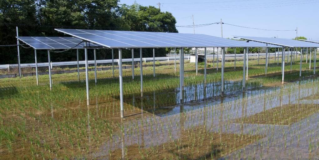 découvrez comment les innovations solaires transforment notre manière de cultiver et de consommer de l'énergie. explorez les technologies émergentes qui allient écologie et agriculture durable, contribuant à un avenir plus vert et responsable.