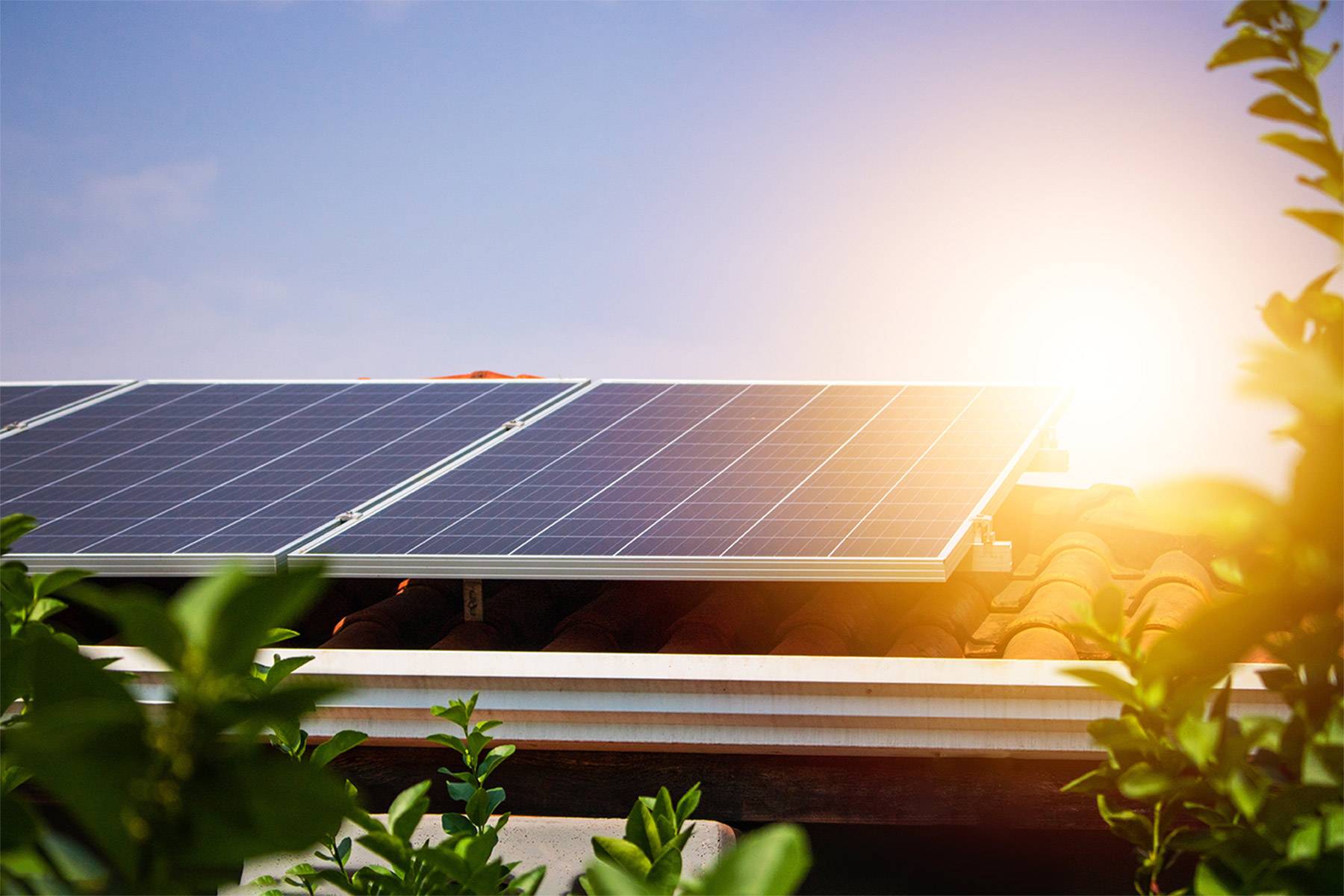 découvrez les services d'un installateur photovoltaïque à toulouse pour transformer votre énergie solaire en économies durables. profitez de l'expertise locale pour des installations sur mesure et respectueuses de l'environnement.