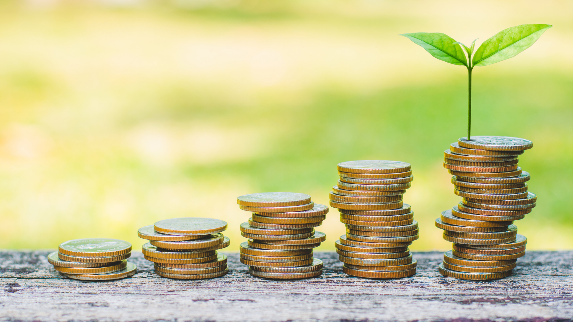 découvrez comment investir durablement pour allier profit et responsabilité environnementale. maximisez vos rendements tout en soutenant des projets écologiques et éthiques.