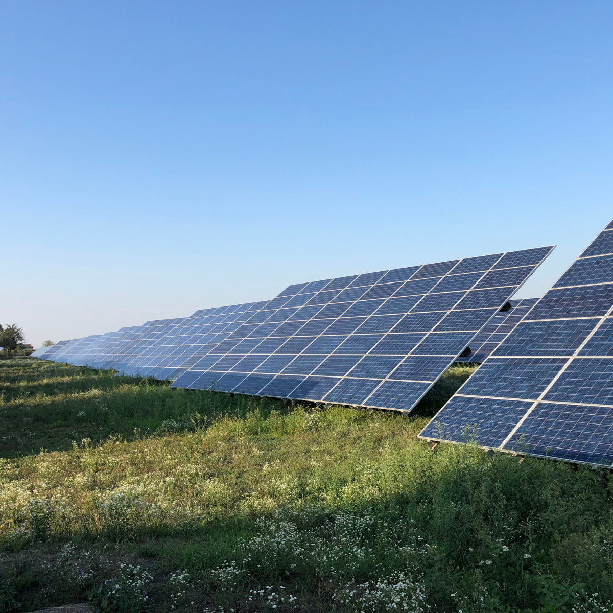 découvrez comment investir dans l'énergie photovoltaïque en france : opportunities, avantages fiscaux et conseils pratiques pour maximiser votre retour sur investissement tout en contribuant à la transition énergétique.