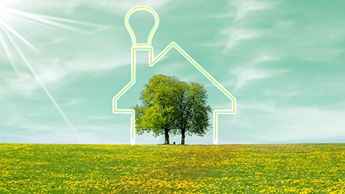 découvrez les solutions d'isolation thermique agricole pour optimiser le confort et la performance de vos bâtiments agricoles. assurez une protection efficace contre les variations de température tout en réduisant vos coûts énergétiques.