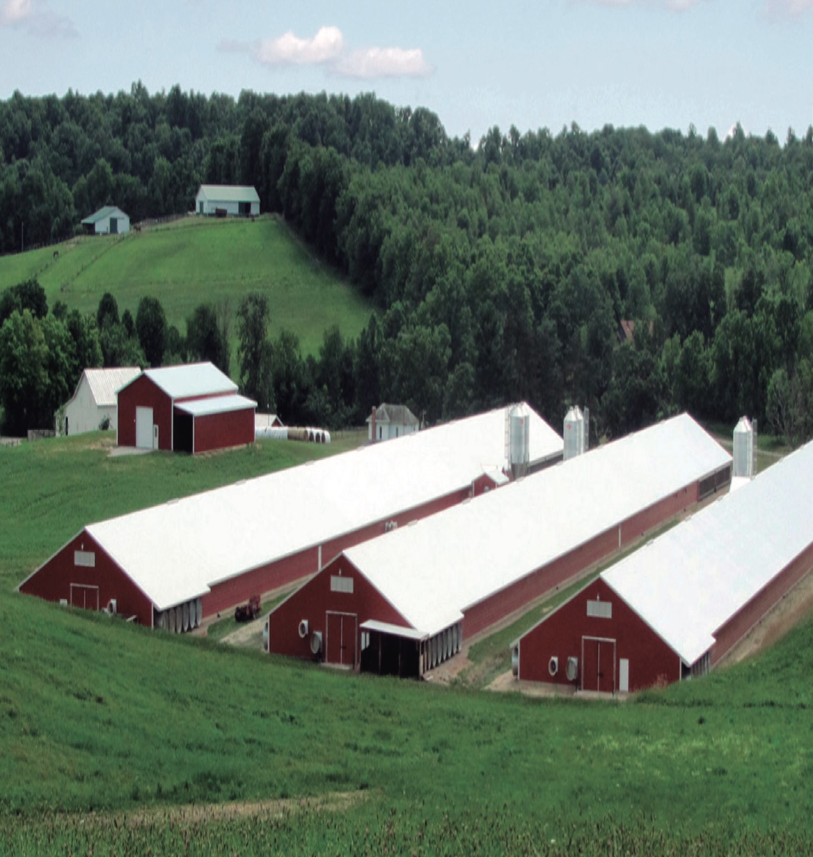 découvrez les solutions d'isolation thermique agricole pour améliorer le confort de vos bâtiments et optimiser la consommation énergétique. protégez vos cultures et vos animaux grâce à une isolation efficace qui réduit les pertes de chaleur. informez-vous sur les matériaux et techniques adaptés à vos besoins pour un environnement de travail durable.