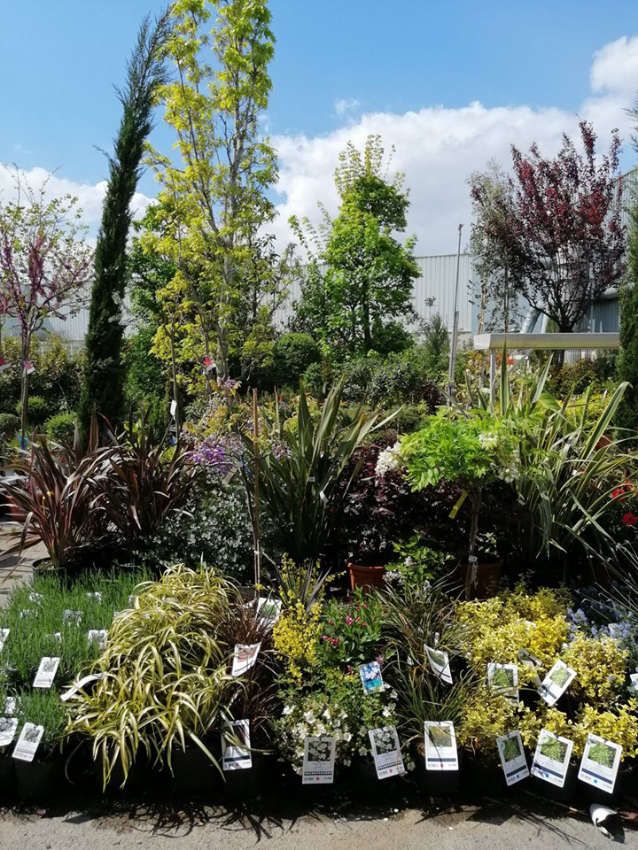 découvrez l'univers de notre jardin client, un espace dédié à la création de paysages uniques et personnalisés. laissez-vous inspirer par nos conseils et idées pour transformer votre extérieur en un véritable havre de paix.