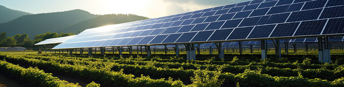 découvrez nos kits photovoltaïques agricoles, conçus pour optimiser la production d'énergie sur votre exploitation. profitez d'une solution écologique et rentable pour alimenter vos équipements tout en réduisant vos coûts d'électricité.