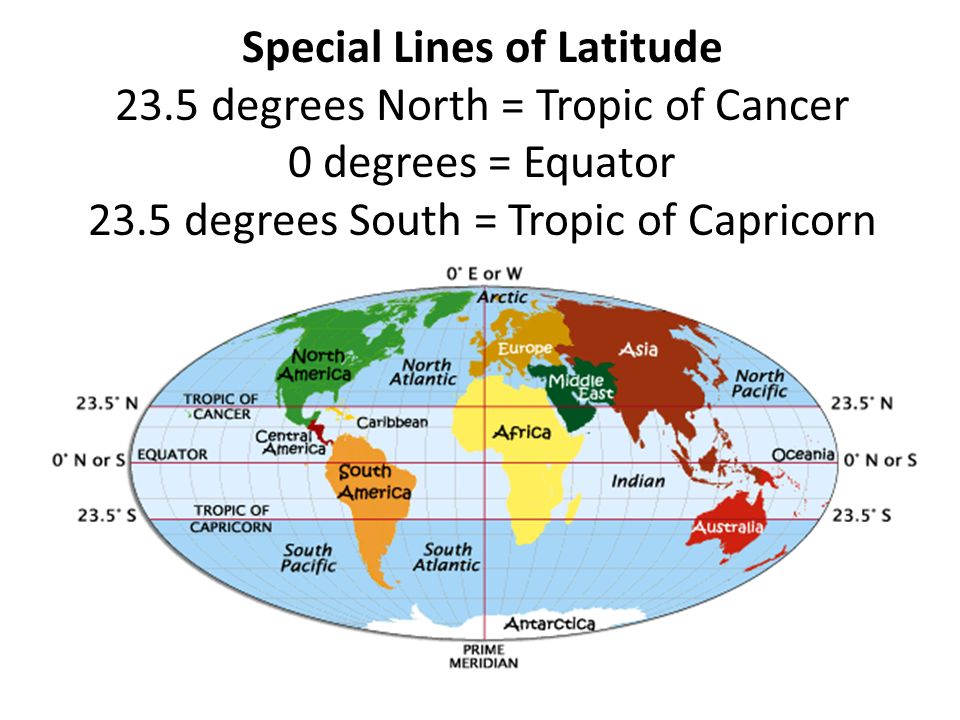 découvrez latitude 23, un incontournable pour explorer les merveilles de la nature et la culture locale. plongez dans une expérience unique au cœur de paysages enchanteurs et d'activités enrichissantes.