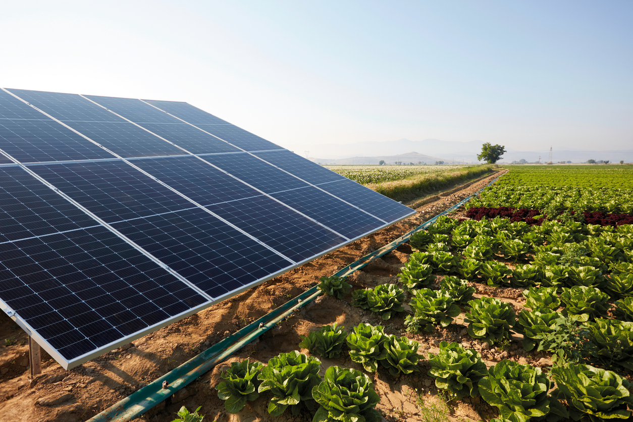 découvrez notre magasin spécialisé en solutions solaires et énergies renouvelables. profitez d'une large gamme de produits pour optimiser votre consommation d'énergie et adopter un mode de vie plus durable. économisez sur vos factures tout en préservant l'environnement !