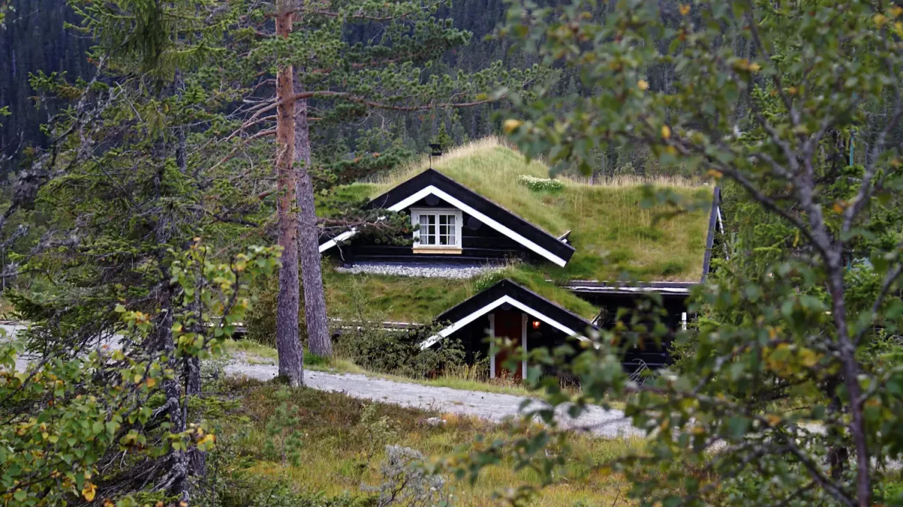découvrez comment concevoir une maison autosuffisante, une solution écologique et économique qui offre confort et indépendance. apprenez les meilleures pratiques en matière d'énergie, d'eau, et de matériaux durables pour vivre en harmonie avec la nature.