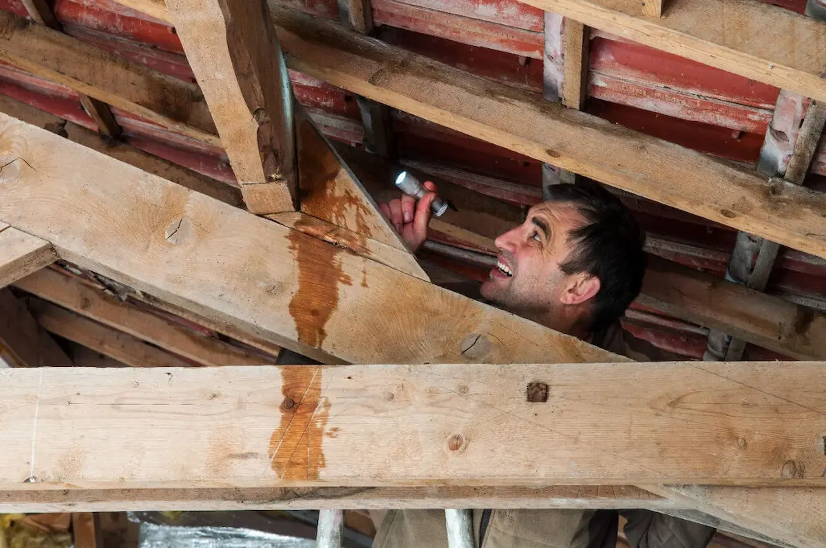 découvrez les causes et les solutions pour les fuites de toiture dans votre maison. protégez votre intérieur des dégâts d'eau et assurez l'intégrité de votre toiture grâce à nos conseils d'experts.