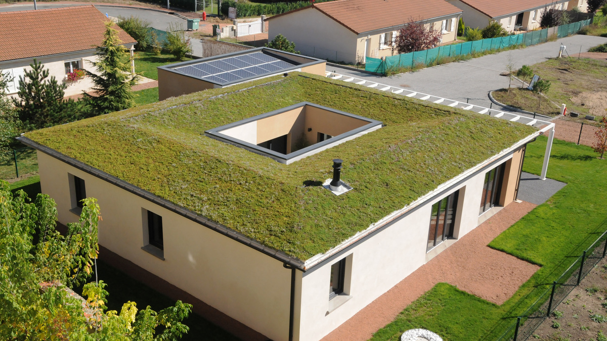 découvrez l'univers de la maison positive, un espace qui allie confort, écologie et bien-être. transformez votre habitat en un lieu inspirant et durable, où chaque élément contribue à une vie saine et harmonieuse.