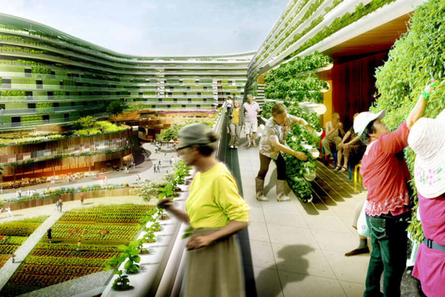 découvrez tout sur le mur agricole : une solution durable pour optimiser vos espaces de culture, améliorer la gestion des eaux et favoriser la biodiversité. informez-vous sur ses avantages, son installation et son entretien.
