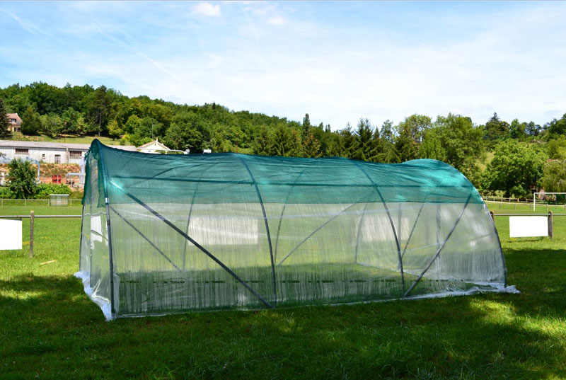 découvrez comment optimiser l'ombrage de votre serre pour protéger vos plantes des rayons du soleil excessifs. astuces pratiques et solutions sur mesure pour garantir une croissance saine et durable.