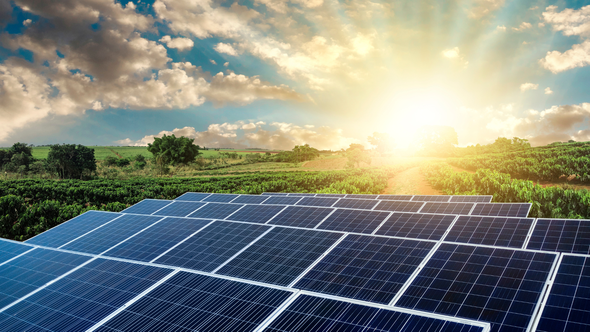 découvrez les opportunités offertes par l'énergie solaire dans le nord. profitez d'une transition énergétique durable et rentable grâce à des solutions solaires adaptées à votre région. investissez dans un avenir plus vert dès aujourd'hui.
