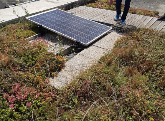 découvrez comment optimiser vos panneaux photovoltaïques pour maximiser leur efficacité énergétique et réduire vos factures d'électricité. apprenez les meilleures pratiques et techniques pour améliorer la performance de vos installations solaires.