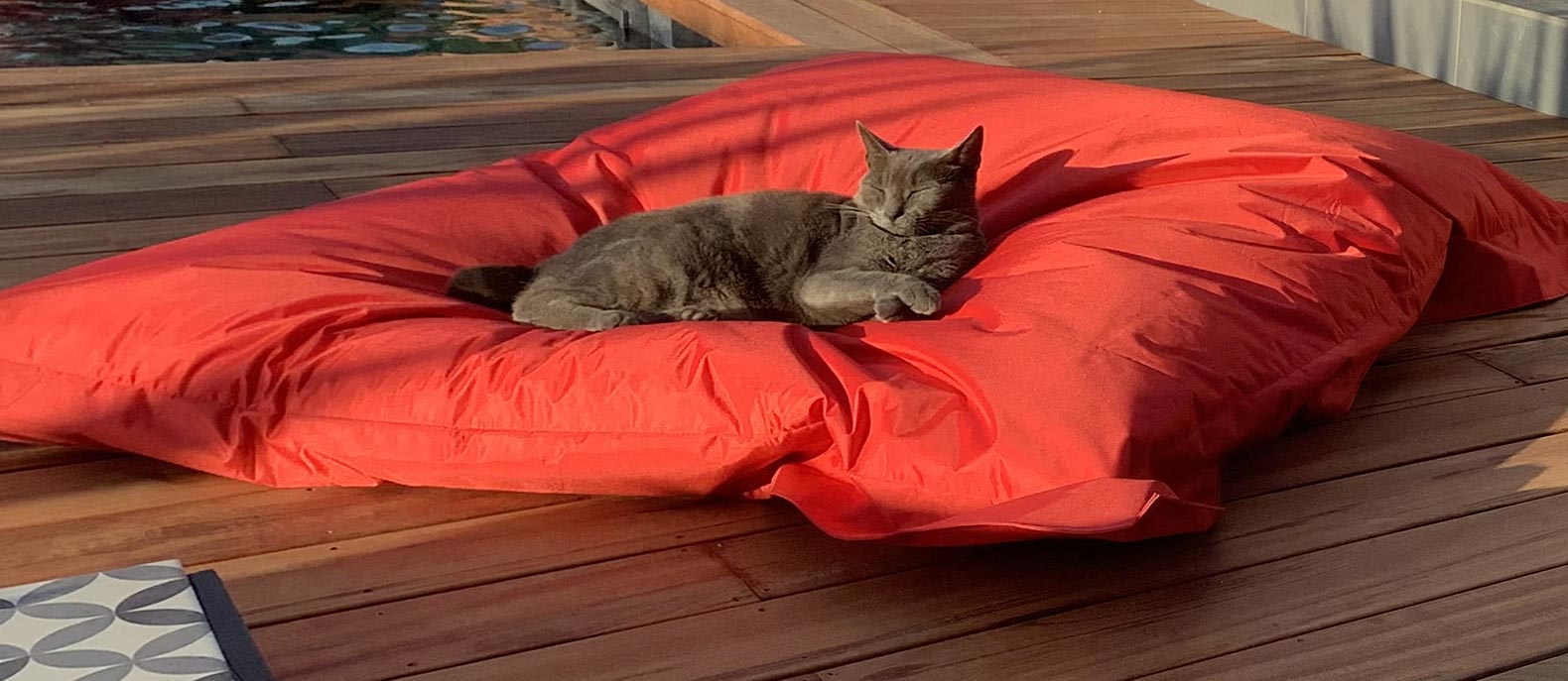 découvrez comment bien orienter votre terrasse pour maximiser l'ensoleillement et le confort tout au long de l'année. nos conseils pratiques vous aideront à créer un espace extérieur agréable et fonctionnel, idéal pour profiter du plein air.