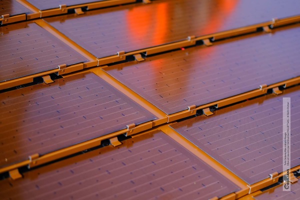découvrez les avantages du panneau photovoltaïque rouge, une solution innovante et esthétique pour produire de l'énergie renouvelable. ce modèle allie performance et design, idéal pour valoriser votre habitat tout en réduisant votre empreinte carbone.