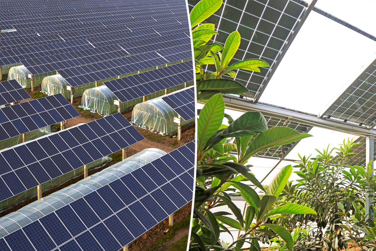 découvrez les prix des panneaux photovoltaïques transparents, une solution innovante alliant esthétique et performance énergétique. informez-vous sur les avantages, les options disponibles et les économies potentielles pour votre projet d'énergie solaire.