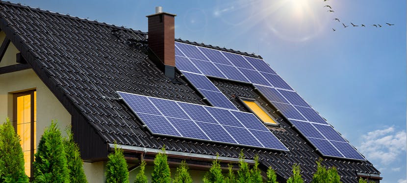 découvrez les prix des panneaux solaires et comparez les offres pour optimiser votre investissement énergétique. informez-vous sur les coûts d'installation, les aides disponibles et les avantages écologiques des panneaux solaires.