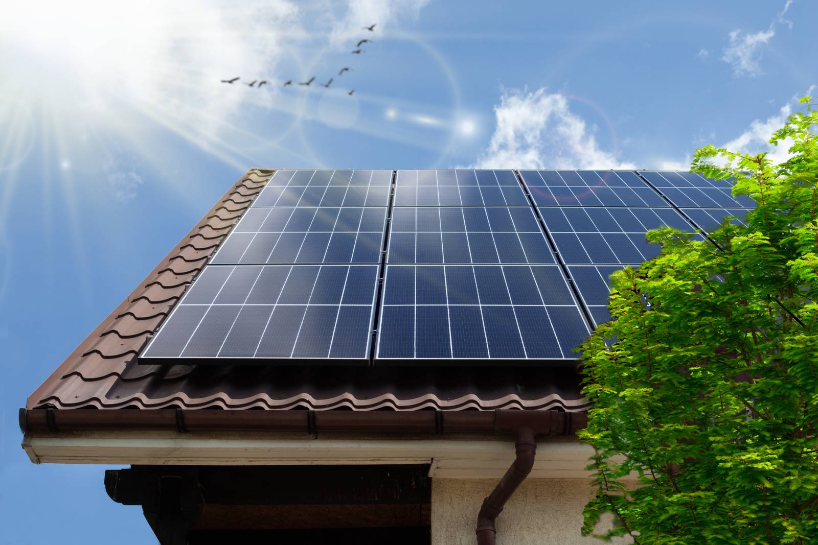 découvrez nos panneaux solaires efficaces qui maximisent votre production d'énergie tout en réduisant votre empreinte carbone. optez pour une solution durable et économique pour alimenter votre maison ou entreprise. investissez dans l'avenir avec notre technologie de pointe.