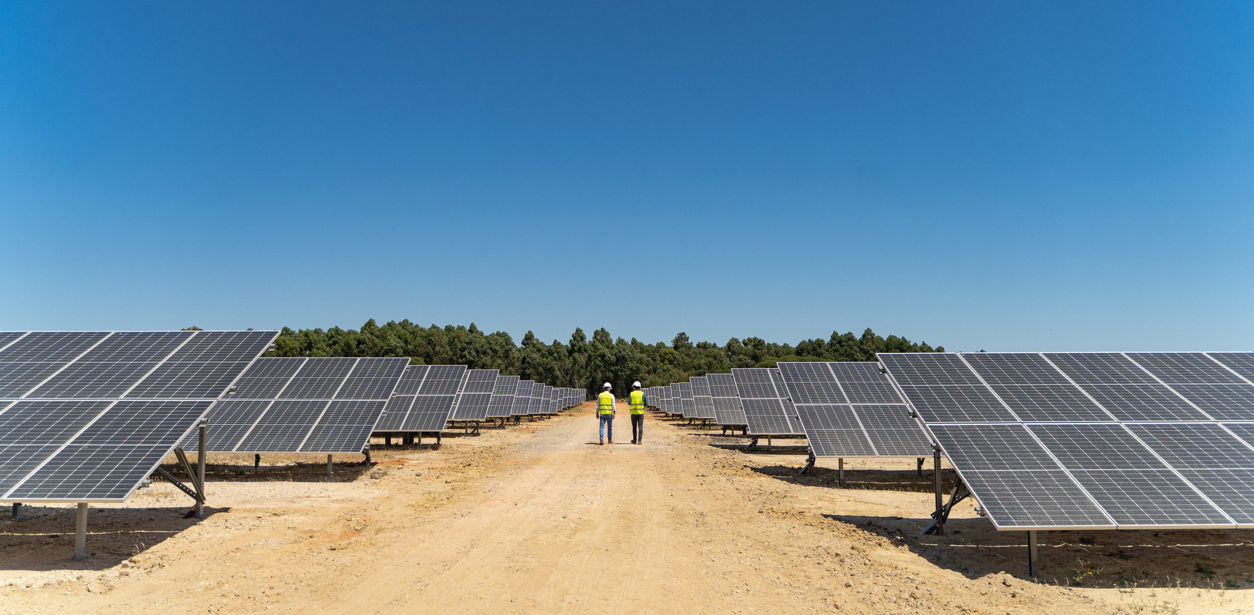 découvrez notre ferme solaire, un projet innovant dédié à la production d'énergie renouvelable. engagez-vous pour un avenir durable grâce à nos installations solaires de pointe, qui permettent de réduire votre empreinte carbone tout en contribuant à la transition énergétique.