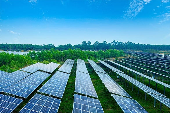 découvrez comment les panneaux photovoltaïques façonnent l'avenir de l'énergie durable. informez-vous sur leurs avantages, leur technologie innovante et leur impact sur la transition énergétique. adoptez une solution écologique pour un avenir plus vert.