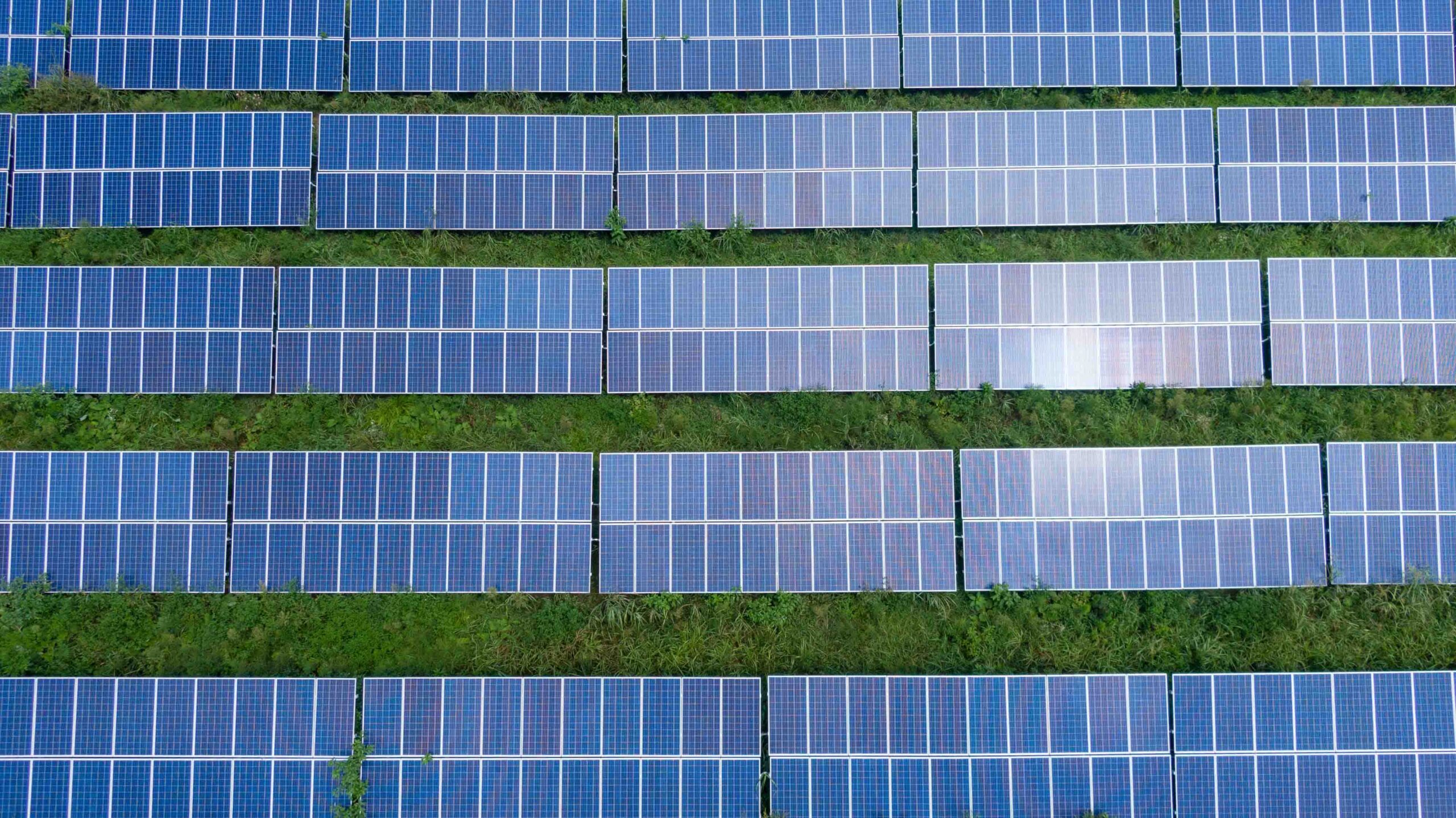 découvrez les panneaux photovoltaïques durables, une solution écologique et économique pour produire votre propre électricité. optez pour une énergie renouvelable et faites un geste pour la planète tout en réduisant vos factures d'énergie.