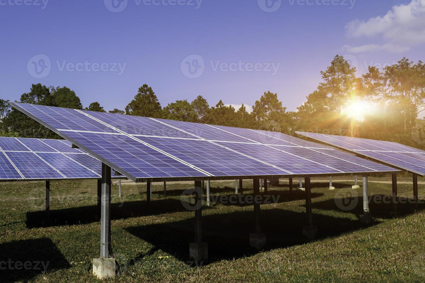 découvrez les panneaux photovoltaïques durables, une solution écologique et économique pour produire votre propre énergie. maximisez votre efficacité énergétique tout en préservant l'environnement grâce à ces technologies innovantes.