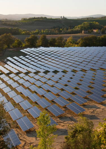 découvrez comment les panneaux solaires agricoles transforment les exploitations en sources d'énergie renouvelable. optimisez votre production tout en réduisant votre empreinte carbone grâce à l'intégration de solutions solaires adaptées à vos besoins.