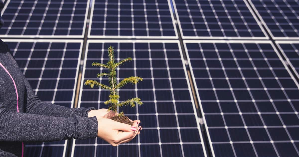 découvrez comment les panneaux solaires représentent une solution durable et innovante pour un avenir énergétique propre. informez-vous sur les technologies émergentes, les avantages environnementaux et les économies d'énergie qu'ils offrent.