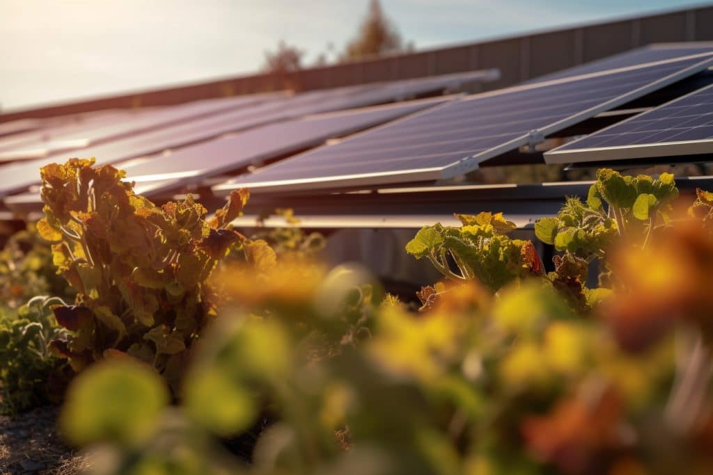 découvrez comment les panneaux solaires façonnent l'avenir des entreprises en offrant des solutions énergétiques durables et économiques. adoptez une activité éco-responsable tout en réduisant vos coûts d'énergie et en valorisant votre image de marque.
