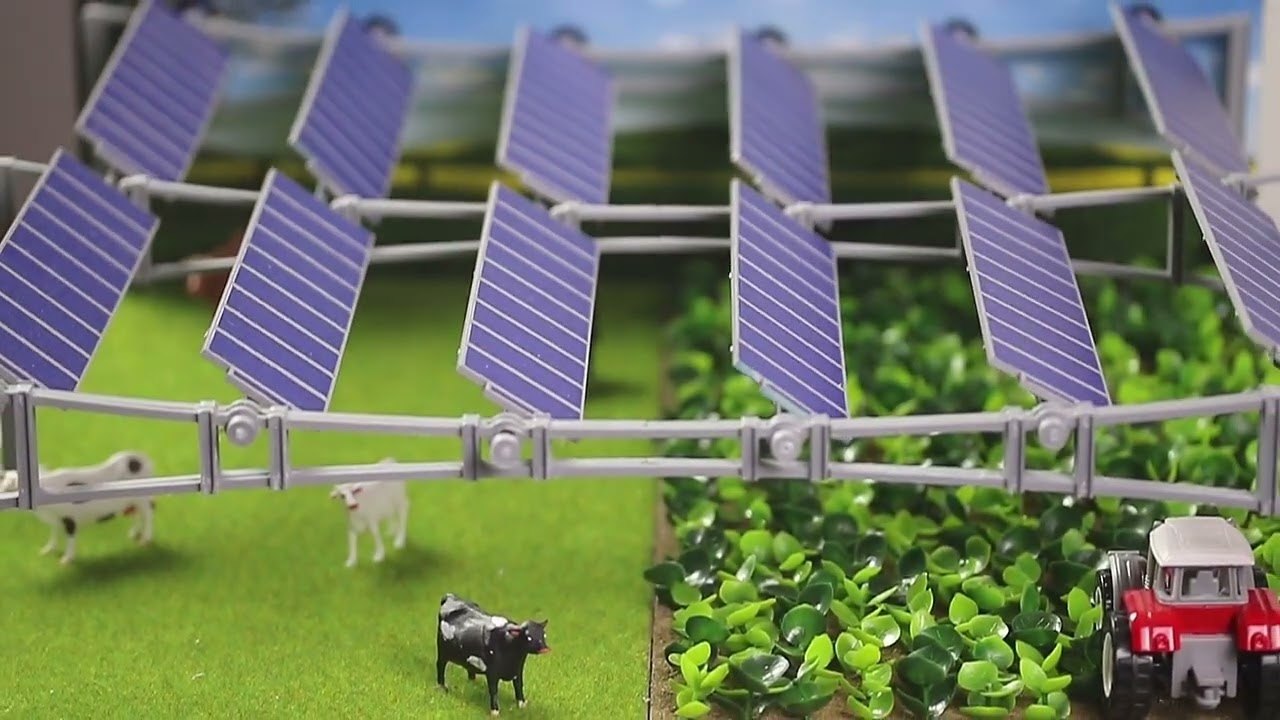 découvrez les panneaux solaires canopées, une solution innovante et esthétique pour optimiser la production d'énergie solaire tout en préservant l'espace. transformez vos zones de stationnement et vos espaces extérieurs en sources d'énergie renouvelable grâce à cette installation durable et performante.