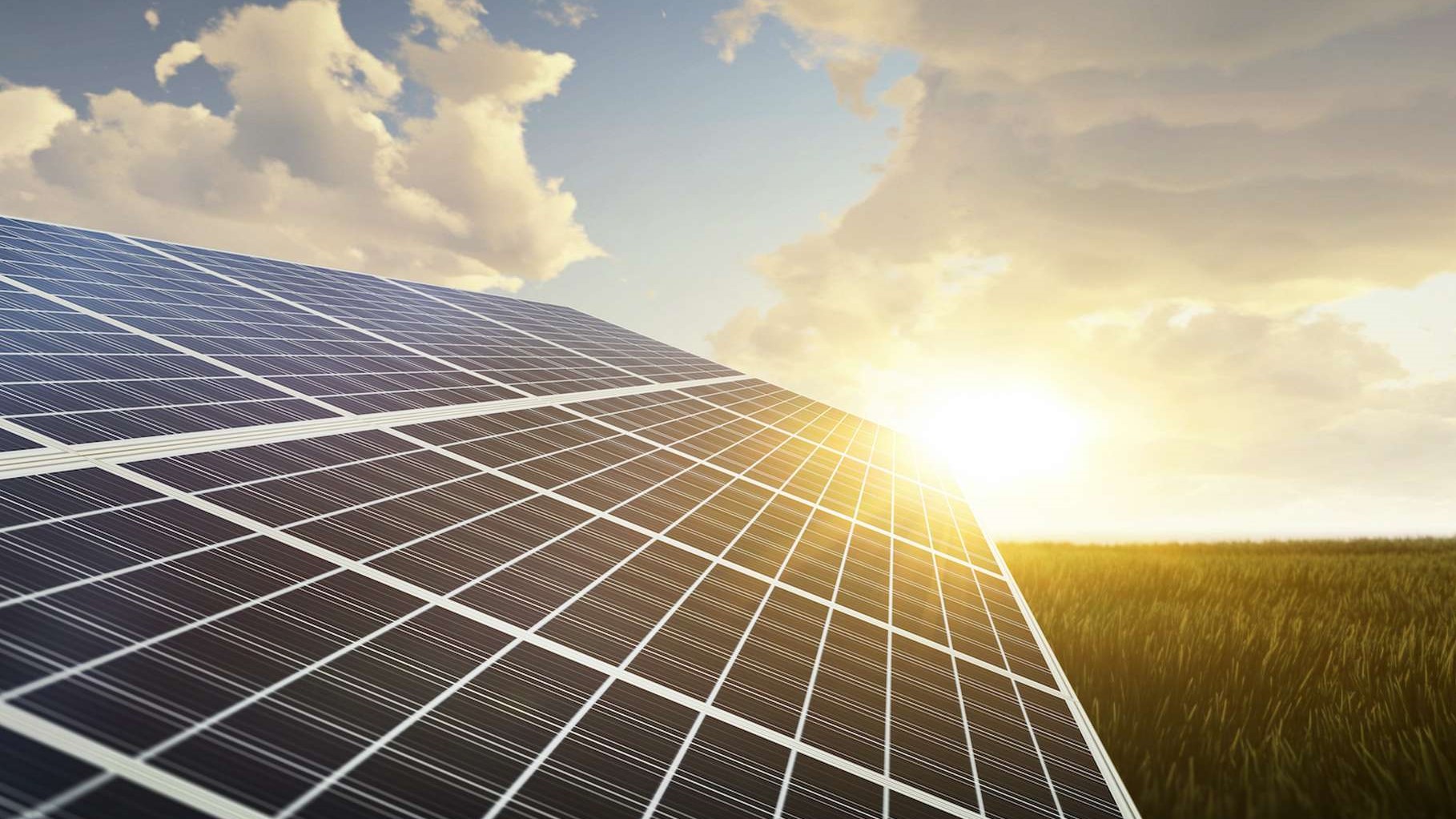 découvrez les panneaux solaires durables qui allient performance et respect de l'environnement. optimisez votre production d'énergie tout en contribuant à la transition écologique avec des solutions renouvelables adaptées à vos besoins.