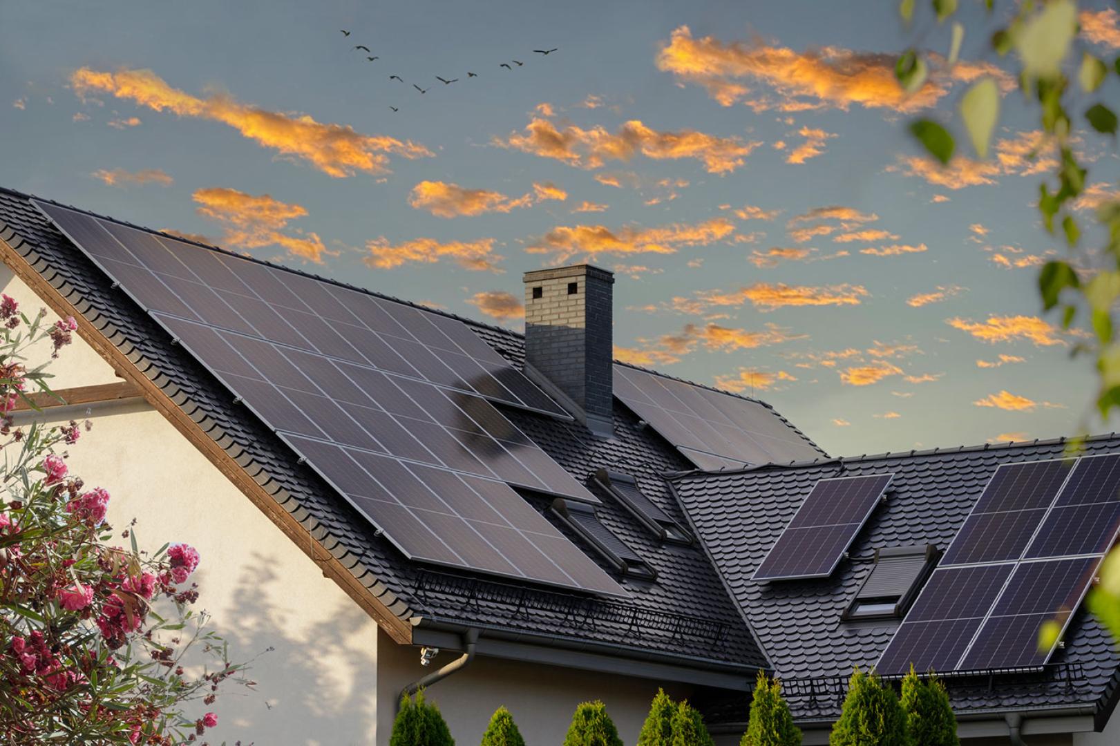 découvrez comment les panneaux solaires peuvent transformer votre entreprise en un modèle écologique, réduire vos coûts énergétiques et contribuer à la protection de l'environnement. optez pour des solutions durables et performantes adaptées aux besoins de votre entreprise.