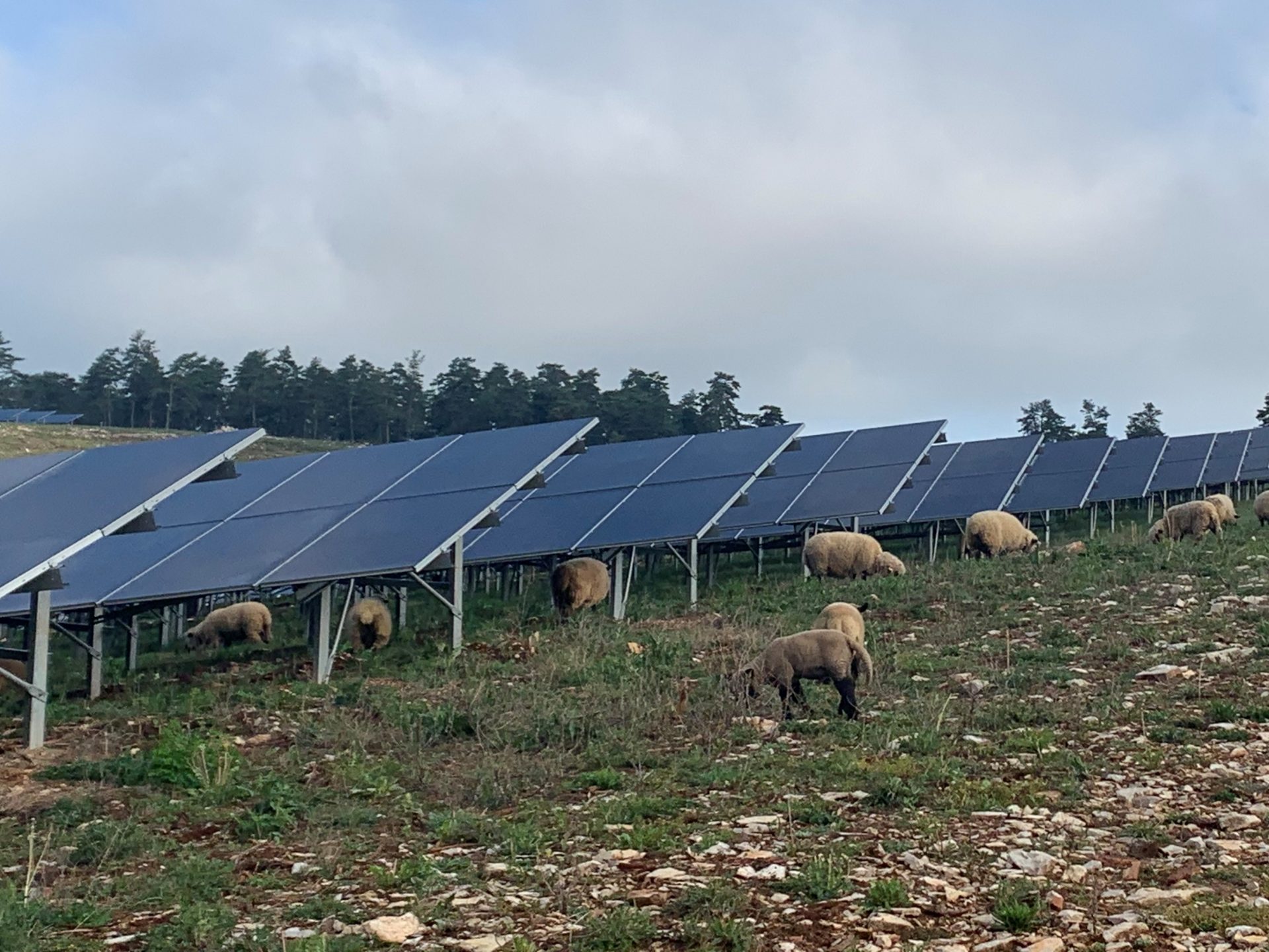 découvrez comment les panneaux solaires contribuent au développement durable dans les zones rurales. apprenez les avantages écologiques et économiques de cette énergie renouvelable pour les communautés éloignées.