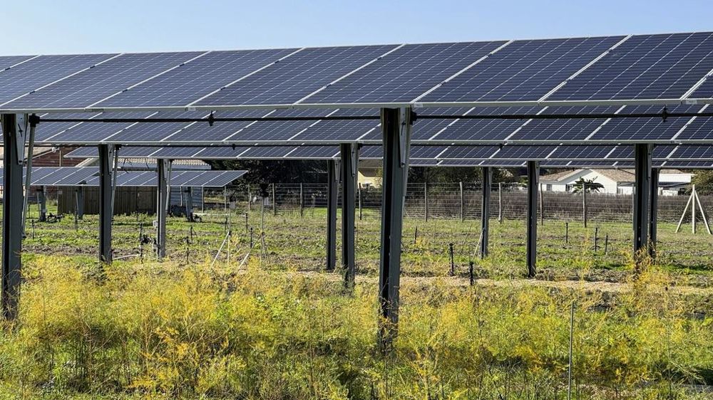 découvrez comment les panneaux solaires contribuent au développement local en favorisant l'économie verte, en créant des emplois et en réduisant la dépendance énergétique. explorez les bénéfices environnementaux et sociaux de cette technologie durable au sein des communautés.