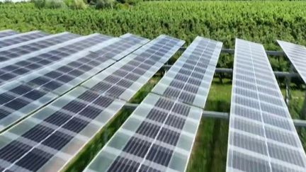 découvrez comment les panneaux solaires contribuent à la protection de l'environnement en réduisant les émissions de gaz à effet de serre et en favorisant une énergie durable. informez-vous sur les avantages écologiques de cette technologie renouvelable et son impact positif sur notre planète.