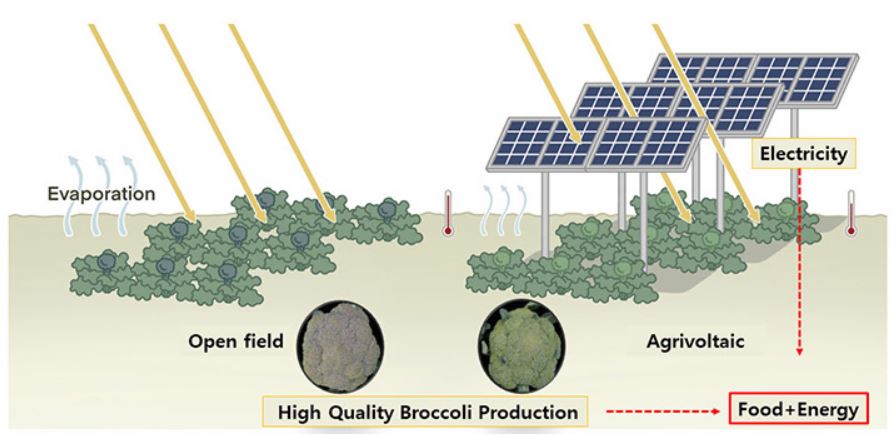 découvrez comment les panneaux solaires peuvent générer des profits durables tout en respectant l'environnement. apprenez les avantages financiers et écologiques d'investir dans l'énergie solaire, ainsi que les meilleures pratiques pour maximiser votre retour sur investissement.