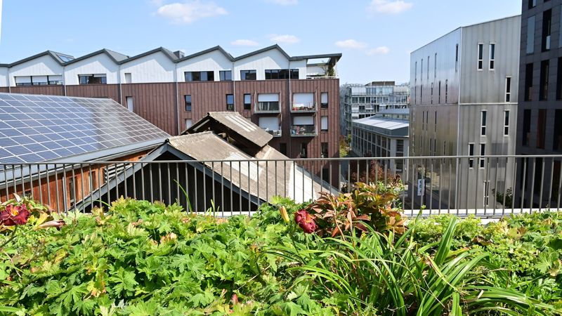 découvrez nos solutions de panneaux solaires à nantes pour réduire votre consommation d'énergie et adopter une démarche plus écoresponsable. profitez d'une installation sur-mesure, de conseils d'experts et d'un suivi personnalisé pour un investissement durable et rentable.