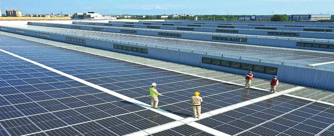 découvrez les panneaux solaires seraphim, alliant performance exceptionnelle et prix compétitifs. maximisez l'énergie solaire de votre maison grâce à des technologies avancées et un rapport qualité-prix inégalé.
