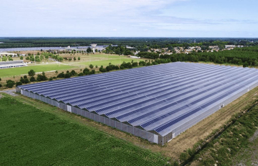 découvrez les avantages du photovoltaïque agricole durable pour une agriculture écoresponsable. maximisez vos rendements tout en préservant l'environnement grâce à des solutions énergétiques renouvelables adaptées à vos exploitations.