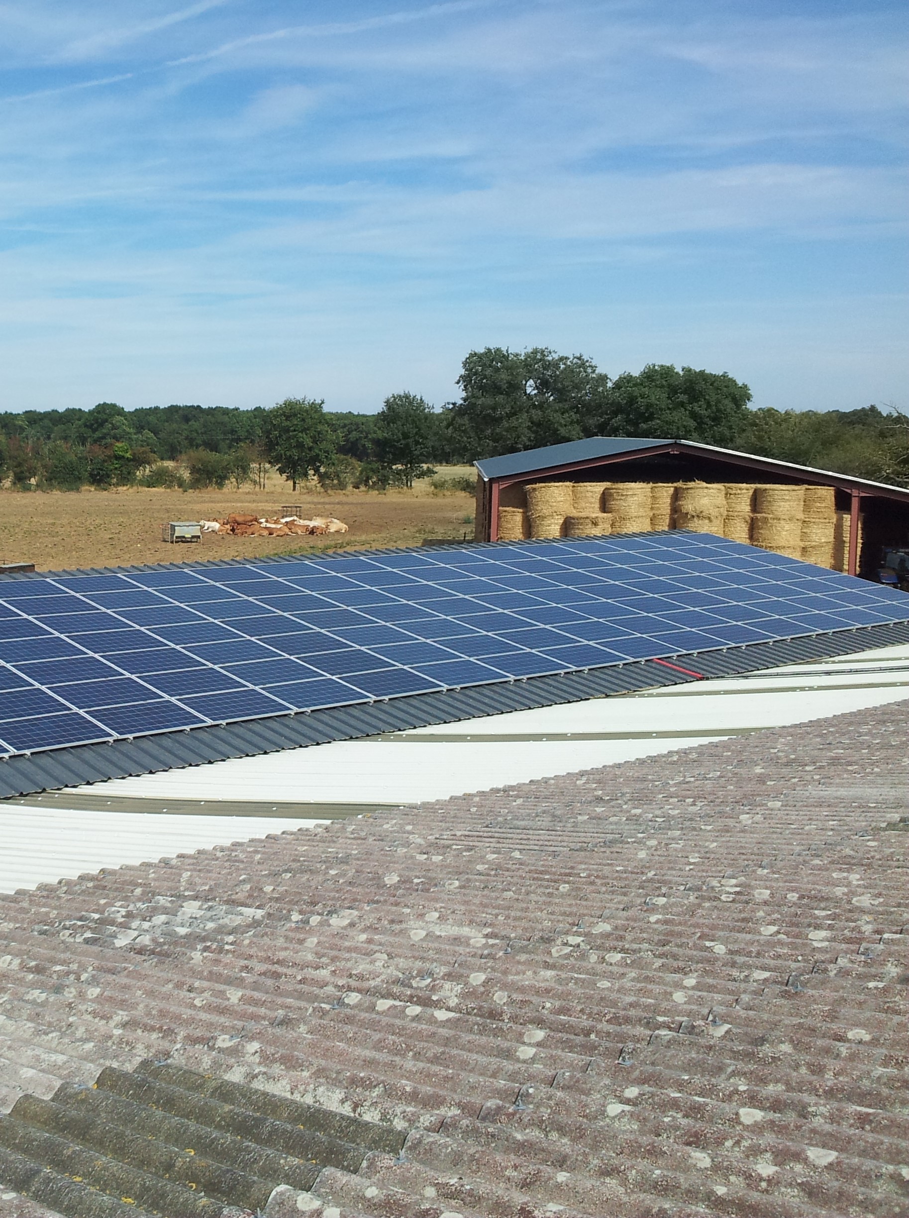découvrez comment l'énergie photovoltaïque transforme la croissance des bâtiments en offrant des solutions durables et efficaces. explorez les avantages économiques et environnementaux de l'intégration des panneaux solaires dans l'architecture moderne.
