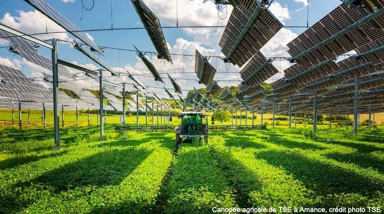 découvrez comment les systèmes photovoltaïques transforment le secteur agricole en offrant des solutions d'énergie renouvelable. maximisez la rentabilité de votre exploitation grâce à l'énergie solaire tout en contribuant à la durabilité environnementale.