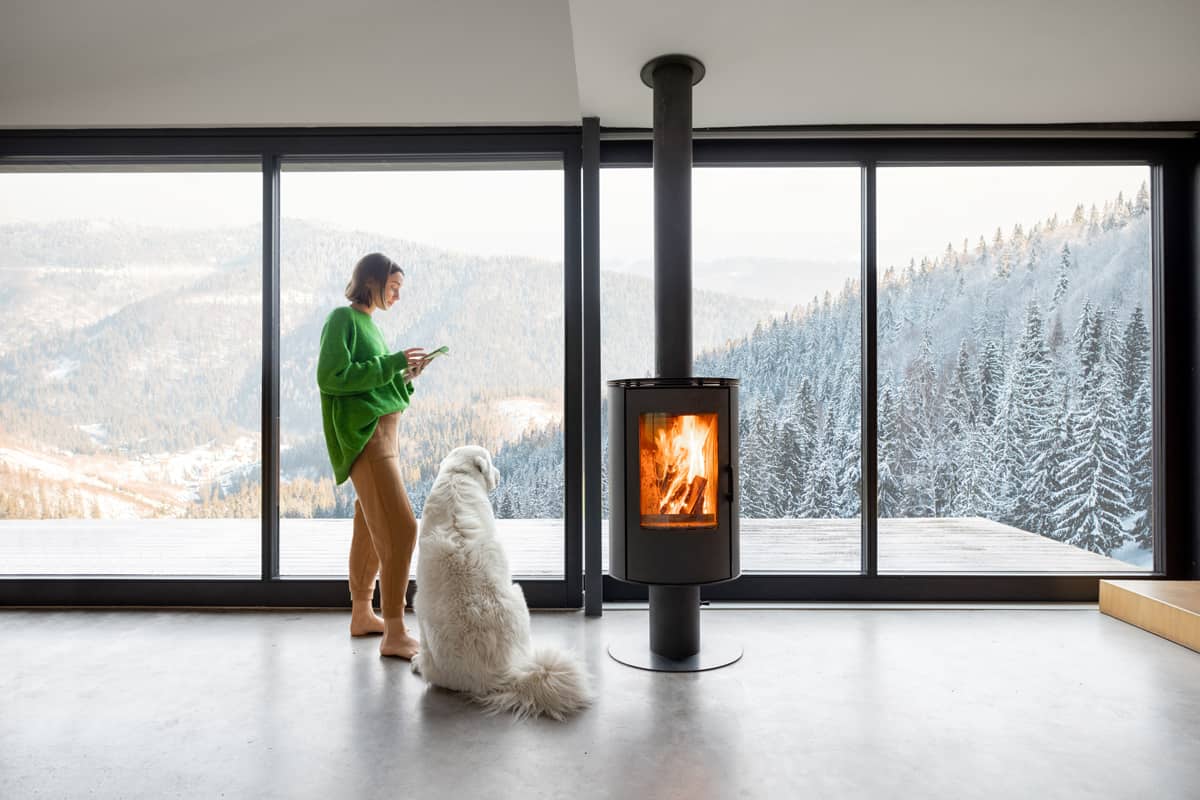 découvrez comment bénéficier du crédit d'impôt en installant un poêle à bois. profitez d'un chauffage économique et écologique tout en réduisant vos impôts grâce à cette solution performante.