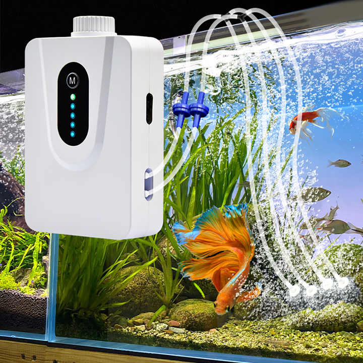 découvrez notre pompe solaire pour aquarium, une solution écologique et efficace pour maintenir l'eau de votre aquarium propre et oxygénée. profitez d'énergie renouvelable tout en offrant un habitat sain à vos poissons et plantes aquatiques.