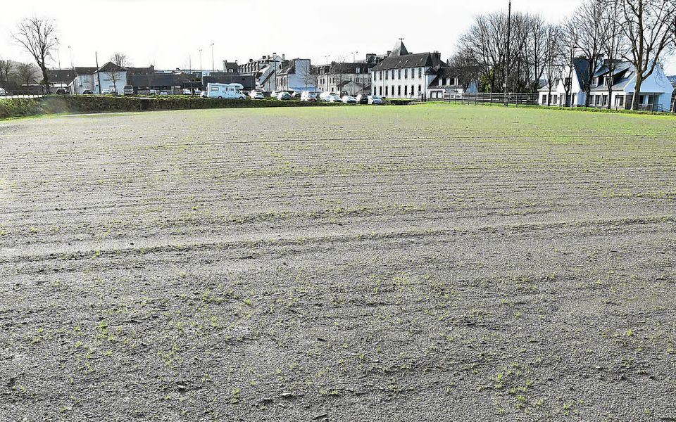 découvrez notre option terrain, une solution parfaite pour les amateurs de jardinage et d'aménagement paysager. transformez votre espace extérieur en un véritable oasis de verdure et de sérénité grâce à nos conseils et produits adaptés. profitez de la nature chez vous !