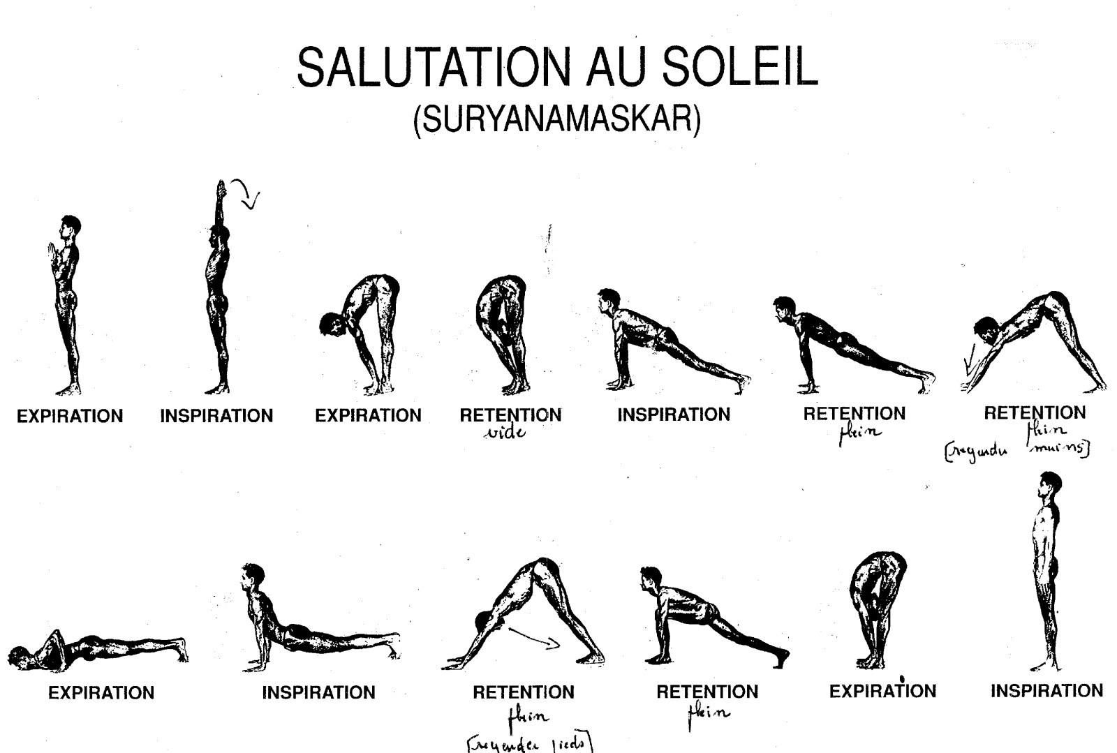 découvrez comment la position du soleil influence notre quotidien, de l'agriculture à l'architecture. apprenez à utiliser les outils pour déterminer l'angle et la trajectoire du soleil tout au long de l'année.
